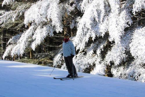スキー.jpg