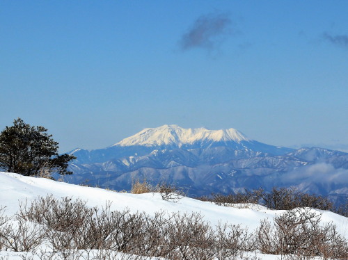 ブログ　御岳山.jpg