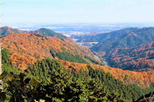 景信山から・ブログ.jpg