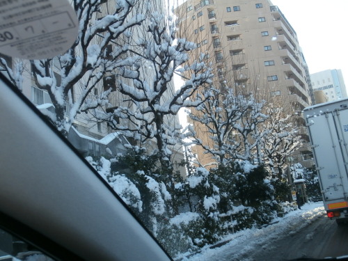 縮小・都内の雪.jpg
